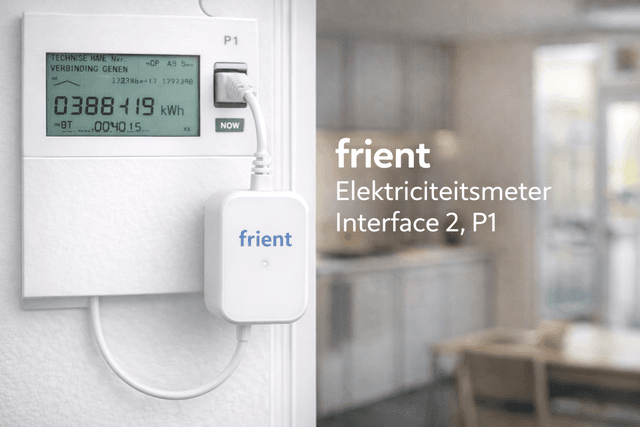 frient Elektriciteitsmeter Interface 2, P1